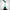 160 Emerald Glass gel 10g
