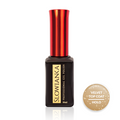 Velvet Holo Top Coat 10g