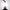 193 Violink 8g