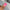 Baby Boomer in Spray Pink Neon 5g